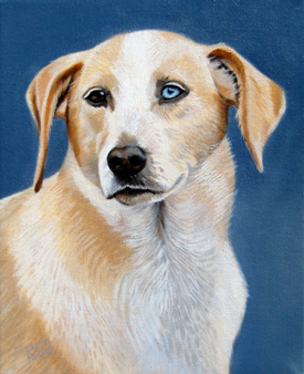 Zuli by Susanna Pantas